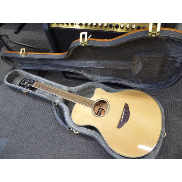 <p>Thin-bodied electro-acoustic in mint condition with hard case.</p><p>APX600 street price: &pound;299</p><p>APX hard case street price: &pound;115</p>