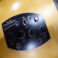 <p>Lovely 12 string electro-acoustic guitar by Freshman.</p><p>Condition: A few bumps and bruises, nothing major.</p>