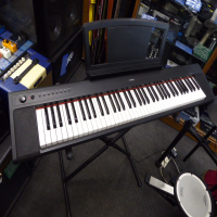 <p>76 key, touch-sensitive keyboard with a great feel and sound.</p><p>An excellent choice for those requiring authentic piano sound in a slimline, compact and lightweight form.</p><p>2 Grand Piano samples, 2 Electric Piano, 2 Organ, 2 Harpsichord, Strings and Vibes.</p>