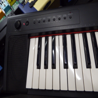 <p>76 key, touch-sensitive keyboard with a great feel and sound.</p><p>An excellent choice for those requiring authentic piano sound in a slimline, compact and lightweight form.</p><p>2 Grand Piano samples, 2 Electric Piano, 2 Organ, 2 Harpsichord, Strings and Vibes.</p>