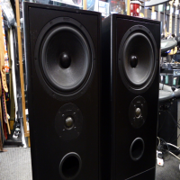 <p>Lovely speakers with a well-balanced, smooth frequency response.</p><p>Controlled and musical bass end, well-defined top-end.</p><p>A few light marks (pictured), otherwise good condition.&nbsp;</p><p>With front grilles.</p><p>Dimensions: 240 x 800 x 270 mm<br />Weight: 15,5 kg<br />Type: 2-way bass reflex, floorstanding speaker<br />Woofer: 200 mm<br />Tweeter: 25 mm dome tweeter<br /><br /></p>