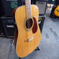 Affordable 12-string acoustic guitar in good condition.