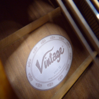 Affordable 12-string acoustic guitar in good condition.