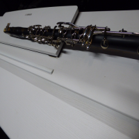 <p>The Buffet B10 is a quality European-made student clarinet.&nbsp;</p><p>Brushed ABS construction.</p><p>Quality silverplated keywork, designed for greater stability and to ensure all the pads seat perfectly over the holes.&nbsp;<br /><br /><br /></p>