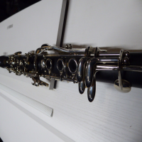 <p>The Buffet B10 is a quality European-made student clarinet.&nbsp;</p><p>Brushed ABS construction.</p><p>Quality silverplated keywork, designed for greater stability and to ensure all the pads seat perfectly over the holes.&nbsp;<br /><br /><br /></p>