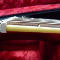 <p>Slash signature Les Paul by Epiphone.&nbsp; Includes hard case.</p><p>Condition: A couple of small dings in the top, otherwise excellent.</p>