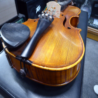 <p>A decent student instrument.</p><p>Lovely finish with a striking wood grain.</p><p>Comes with a quality case which is a step up from basic models.</p><br />