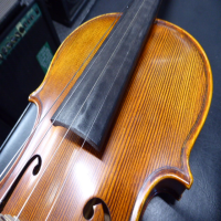 <p>A decent student instrument.</p><p>Lovely finish with a striking wood grain.</p><p>Comes with a quality case which is a step up from basic models.</p><br />